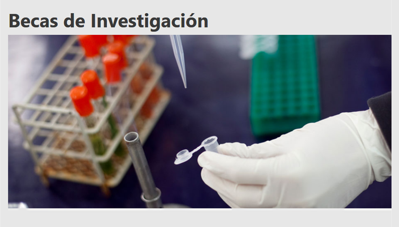 Convocatoria a Becas de Investigación 2018